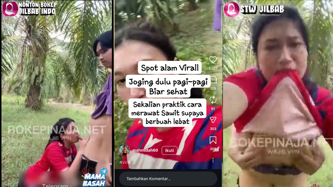Bokep Indo Skandal Ibu Tiri di Kebun Sawit Part 1